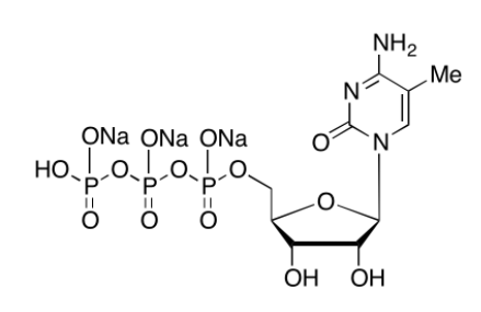 Structure of 5 Methylcytidine 5 Triphosphate CPT Trisodium Salt CAS 327174 86 7 - Fluorescein-12-UTP 10mM Sodium solution CAS F12UTP