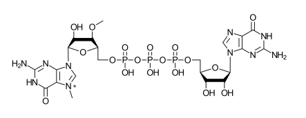 ARCA Cap Analog CAS 400806-46-4 Structure of ARCA Cap Analog CAS 400806 46 4 - ARCA Cap Analog CAS 400806-46-4