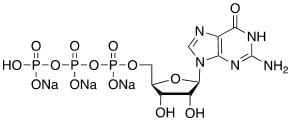 Structure of Guanosine 5 triphosphate GTP Trisodium salt CAS 36051 31 7 - Fluorescein-12-UTP 10mM Sodium solution CAS F12UTP