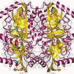 Structure of Pyrophosphatase Inorganic 9024-82-2
