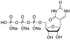 Structure of Uridine 5 triphosphate Sodium Salt CAS 1175 34 4 - Fluorescein-12-UTP 10mM Sodium solution CAS F12UTP