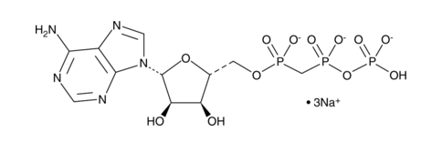 Structure of alphabeta methylene Adenosine 5 triphosphate sodium salt CAS 1343364 54 4 - Fluorescein-12-UTP 10mM Sodium solution CAS F12UTP