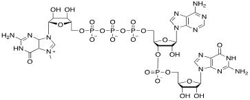 Structure of m7Gppp CAS UENA 0198 - Recombinant Kex2 Protease CAS UENA-0219