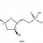 Structure of 2 Deoxyadenosine 5 triphosphate Trisodium Salt CAS 54680 12 5 150x150 - Carbohydrate and Nucleotide Development
