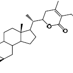 Structure of 4-epi Withaferin A CAS 5119-48-24