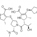 Structure of Meropenem Impurity B CAS 166901-45-7