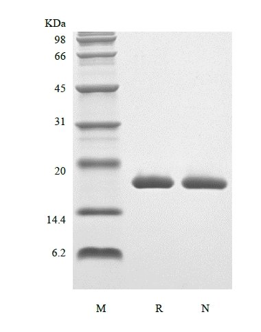 sds page 141 01B 3 - HOME