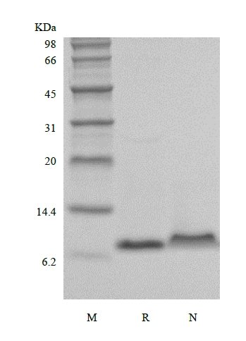 sds page 224 20 5 - HOME
