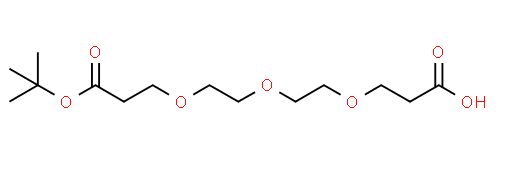 Structure of Acid PEG3 t butyl ester CAS 1807539 06 5 - BMF-219 CAS 2448172-22-1