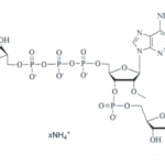 Structure of (m7G(5’)ppp(5’)(2’-OMeA)pG,(Cap1,GAG)100mM Ammonium salt solution CAS UENA-0199