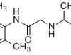 Lidocaine Impurity G(EP) CAS 42459-30-3