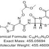 Cefixime Impurity E precursor (EP) CAS 79350-37-11011