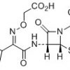 Hydroxymethyl Cefixime Impurity CAS 79350-37-11038