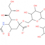 Structure of 6'-N-ACETYLNEURAMIN-LACTOSE SODIUM SALT CAS 157574-76-0(35890-39-2)