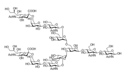 Structure of A2 N Glycan CAS 1125602 44 9 - N1-Methylpseudo-UTP CAS 1428903-59-6