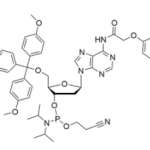 Structure of DMT-dA(PAc) Phosphoramidite CAS 110543-74-3