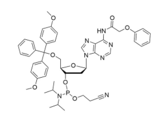 DMT-dA(PAc) Phosphoramidite CAS 110543-74-3 Structure of DMT dAPAc Phosphoramidite CAS 110543 74 3 - DMT-dA(PAc) Phosphoramidite CAS 110543-74-3
