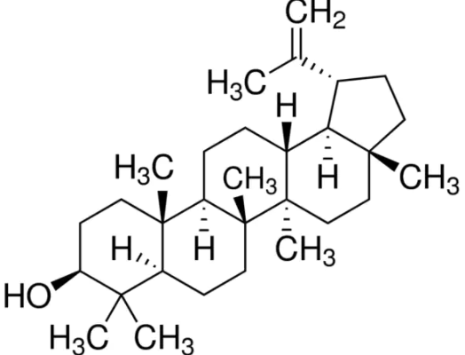 Structure of Fagarsterol CAS 545 47 1 524x400 - Icariin CAS 118525-40-9