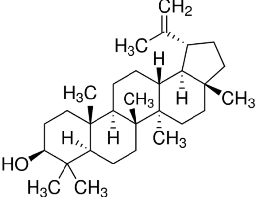 Structure of Fagarsterol CAS 545 47 1 524x400 - turkesterone CAS 41451-87-0