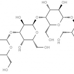 Structure of Globo-N-tetraose CAS 75660-79-6