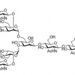 Structure of NGA2 N-Glycan CAS 84808-02-6