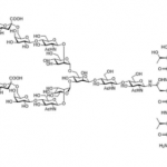 Structure of Sialylglycopeptide CAS 189035-43-6