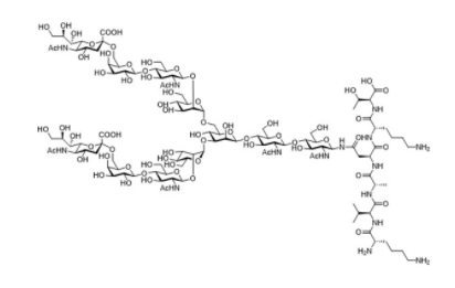 Structure of Sialylglycopeptide CAS 189035 43 6 - Recombinant Kex2 Protease CAS UENA-0219