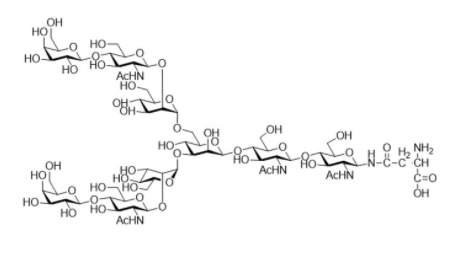 Structure of Sialylglycopeptide CAS 67299-24-5