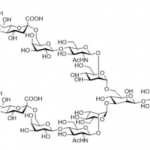 Structure of Sialylglycopeptide CAS UENA-0217