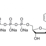 Structure of dUTP3Na Solution 100mML CAS 102814-08-4