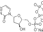 Structure of 2'-Deoxycytidine-5'-triphosphate trisodium salt CAS 109909-44-6