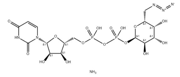 Structure of UDP 6 N3 Galactose CAS 868141 12 2 - UDP-6-N3-Galactose CAS 868141-12-2