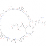 Structure of rh Insulin CAS 11061-68-0