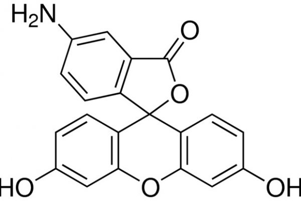 Structure of Fluoresceinamine isomer CAS 3326 34 9 600x400 - Fluoresceinamine, isomer CAS 3326-34-9