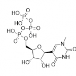Structure of N1 Methylpseudo UTP CAS 1428903 59 6 150x150 - Our Customers