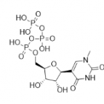Structure of N1-Methylpseudo-UTP CAS 1428903-59-6