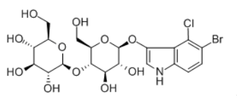 177966 52 8 - 5-Bromo-4-chloro-3-indolyl beta-D-cellobioside CAS 177966-52-8