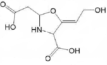 61177 45 551 - Ibuprofen Impurity 38 CAS 89878-75-1