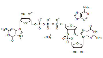 <span class="caps">CAP1113</span>