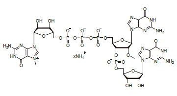 <span class="caps">CAP1303</span>