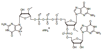 <span class="caps">CAP1313</span>