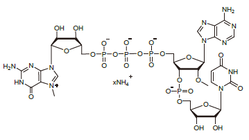 <span class="caps">CAP21103</span>
