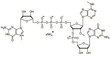 <span class="caps">CAP61103</span>