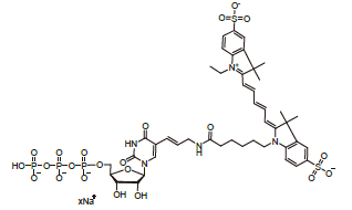 Cy5-UTP 10mM Sodium solution CAS CY5UTP