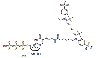 CY5UTP - Pseudo-UTP 200mM Tris solution CAS PUTPT200