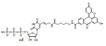 F12UTP - EPS/4-Nitrophenyl O-4,6-O-ethylidene-alpha-D-maltoheptaoside CAS 96597-16-9