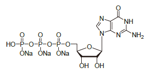 GTP100 - Pseudo-UTP 200mM Tris solution CAS PUTPT200