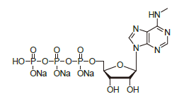 M6ATP100 - EPS/4-Nitrophenyl O-4,6-O-ethylidene-alpha-D-maltoheptaoside CAS 96597-16-9