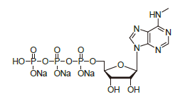 M6ATP100 - DMTr-2'-O-C16-rC(Ac)-3'-CE-Phosphoramidite CAS 2382942-38-1