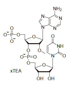 OMAU100 - N-(2-Bromoethyl)phthalimide CAS 574-98-1